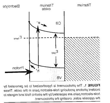 The photocurrents are result from light exciting electrons in the oxide film, 在肖特基势垒存在的情况下.